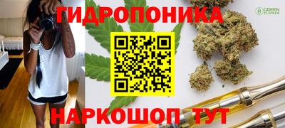 индика Кимры
