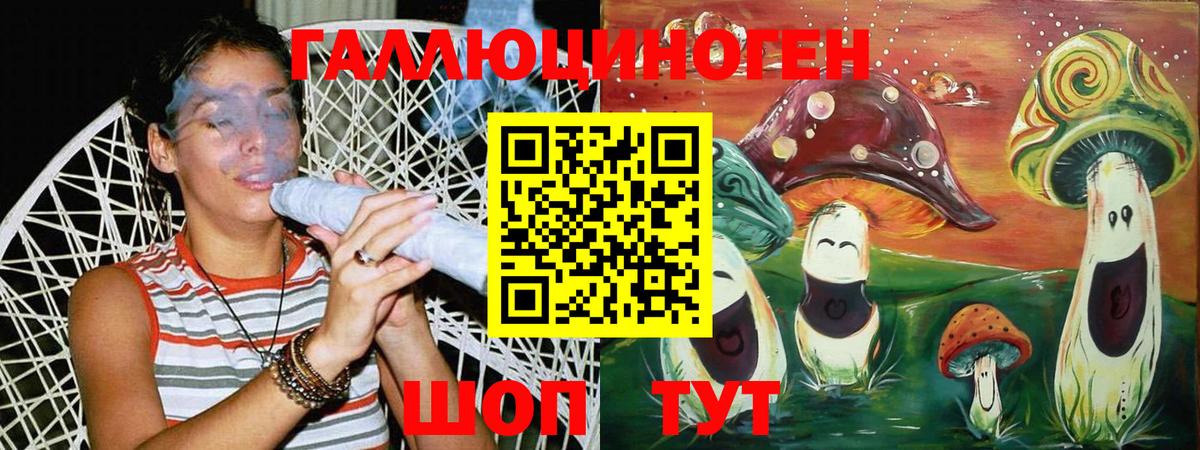 Псилоцибиновые грибы Psilocybe Кубинка